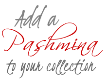 Add a Pashmina to your collection