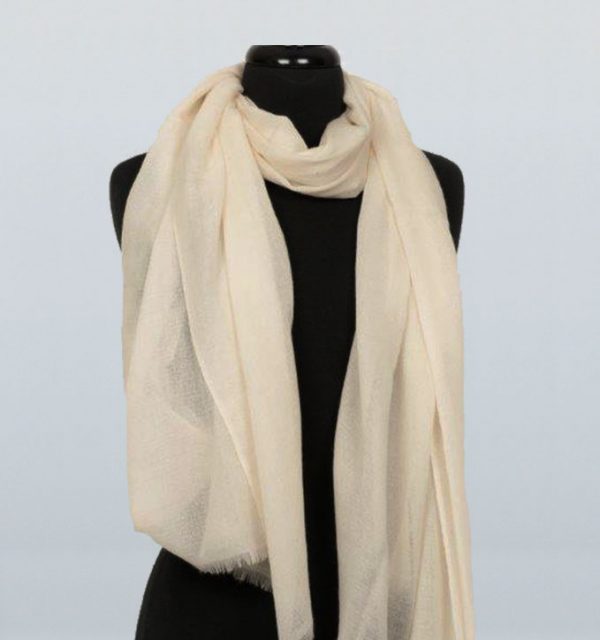Pashmina Pure Shawls - Image 4