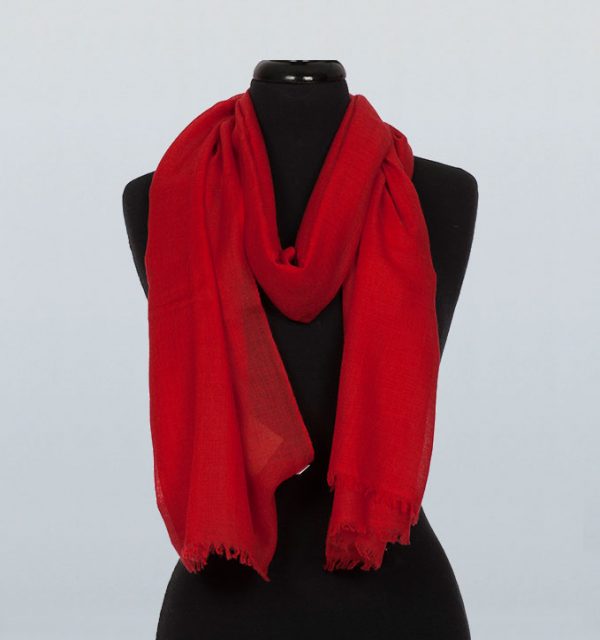 Pashmina Pure Shawls - Image 11