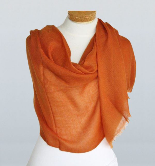 Pashmina Pure Shawls - Image 7