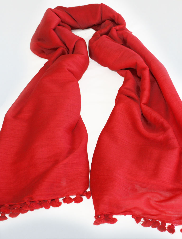 Pashmina Passion