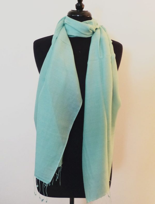Pashmina & Silk Shawl - 1/2 price - Image 2